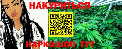 гидропоника Краснознаменск